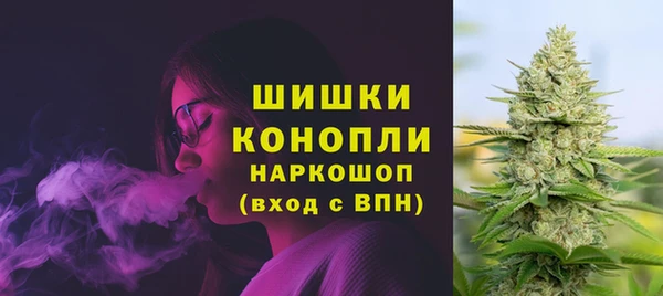 сатива Армянск