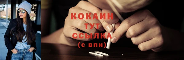 сатива Армянск