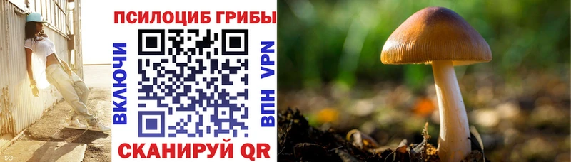 Галлюциногенные грибы Psilocybe  Купить  Сясьстрой 