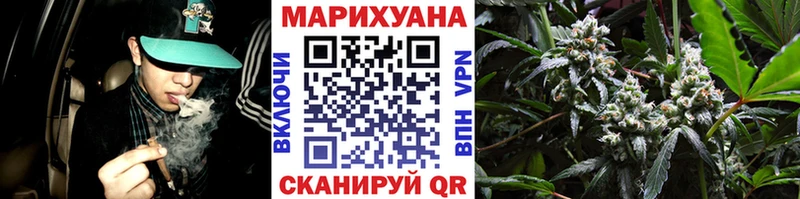Шишки марихуана Bruce Banner  Купить  Сясьстрой 